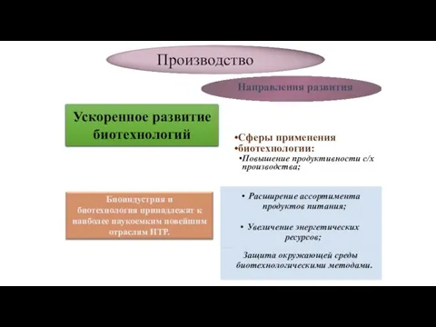 Производство Направления развития Сферы применения биотехнологии: Повышение продуктивности с/х производства;