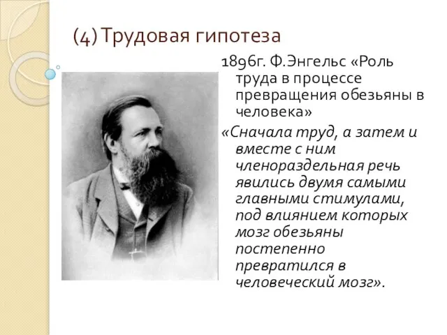 (4) Трудовая гипотеза 1896г. Ф.Энгельс «Роль труда в процессе превращения обезьяны