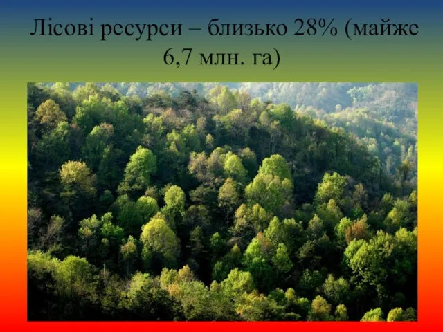 Лісові ресурси – близько 28% (майже 6,7 млн. га)