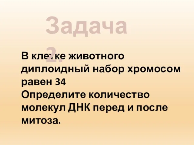 В клетке животного диплоидный набор хромосом равен 34 Определите количество молекул