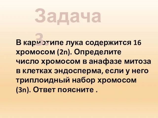 В кариотипе лука содержится 16 хромосом (2n). Определите число хромосом в