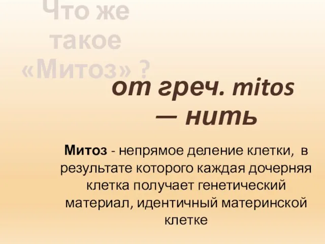 Что же такое «Митоз» ? от греч. mitos — нить Митоз