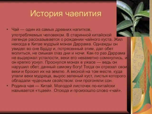 История чаепития Чай — один из самых древних напитков, употребляемых человеком.