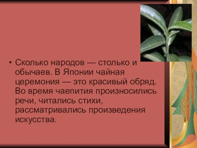 Сколько народов — столько и обычаев. В Японии чайная церемония —