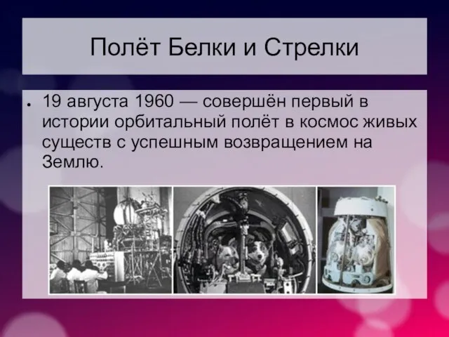 Полёт Белки и Стрелки 19 августа 1960 — совершён первый в