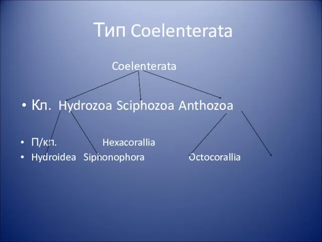 Тип Coelenterata Coelenterata Кл. Hydrozoa Sciphozoa Anthozoa П/кл. Hexacorallia Hydroidea Siphonophora Octocorallia