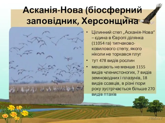 Асканія-Нова (біосферний заповідник, Херсонщина Цілинний степ „Асканія-Нова” – єдина в Європі