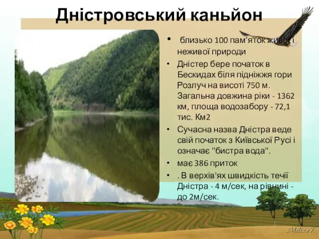 Дністровський каньйон близько 100 пам’яток живої і неживої природи Дністер бере