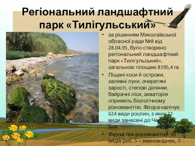Регіональний ландшафтний парк «Тилігульський» за рішенням Миколаївської обласної ради №8 від