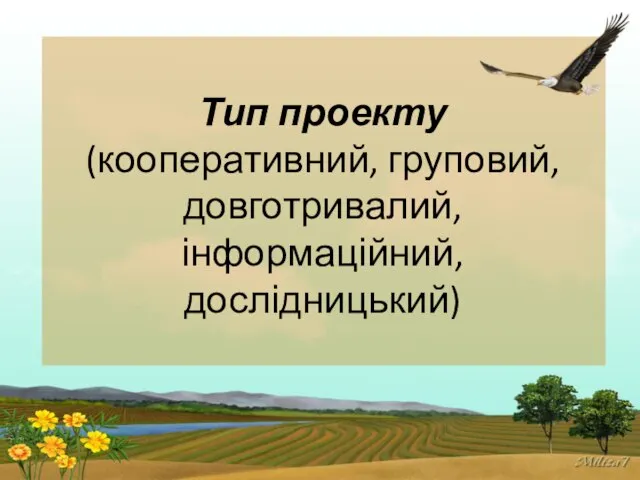 Тип проекту (кооперативний, груповий, довготривалий, інформаційний, дослідницький)