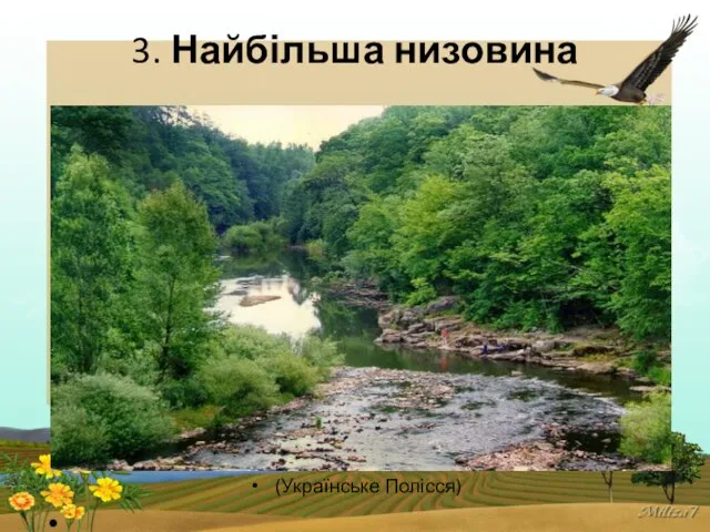 3. Найбільша низовина (Українське Полісся)