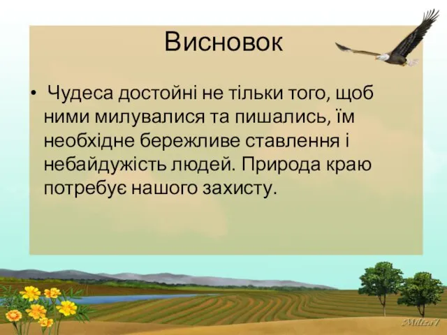 Висновок Чудеса достойні не тільки того, щоб ними милувалися та пишались,