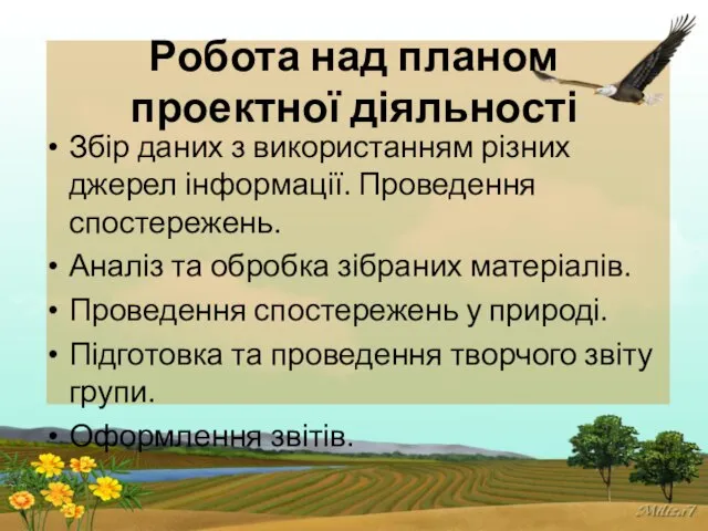 Робота над планом проектної діяльності Збір даних з використанням різних джерел