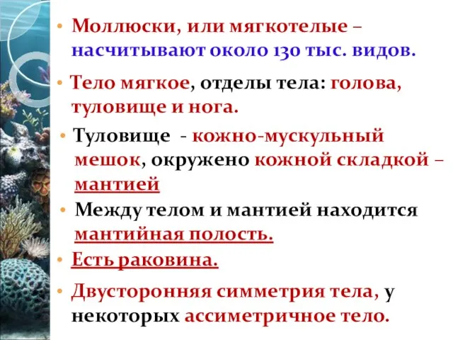 Моллюски, или мягкотелые – насчитывают около 130 тыс. видов. Туловище -