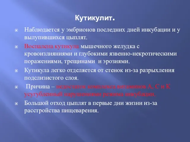 Кутикулит. Наблюдается у эмбрионов последних дней инкубации и у вылупившихся цыплят.