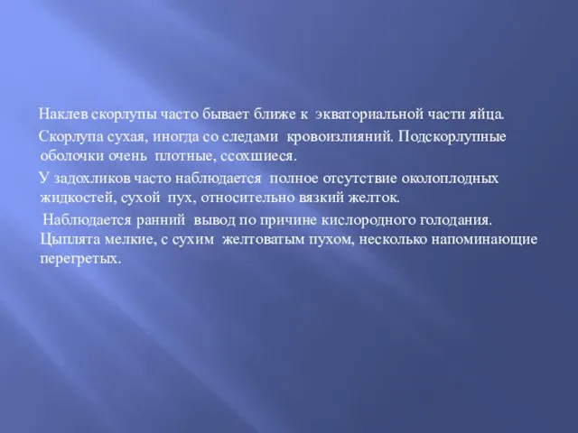 Наклев скорлупы часто бывает ближе к экваториальной части яйца. Скорлупа сухая,