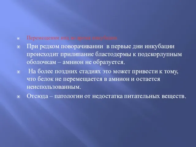 Перемещении яиц во время инкубации. При редком поворачивании в первые дни