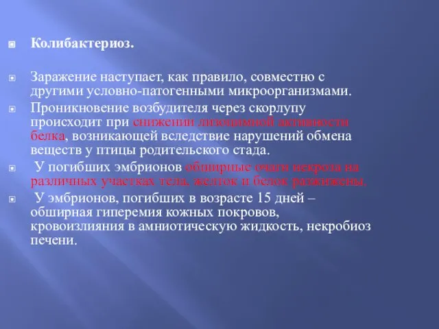 Колибактериоз. Заражение наступает, как правило, совместно с другими условно-патогенными микроорганизмами. Проникновение