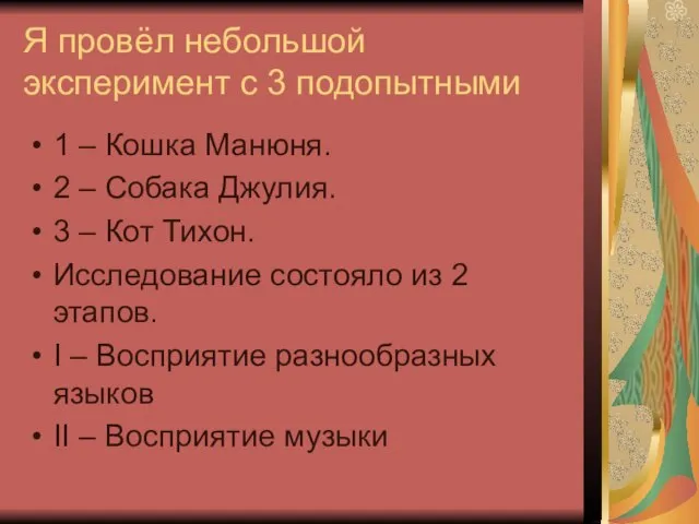 Я провёл небольшой эксперимент с 3 подопытными 1 – Кошка Манюня.