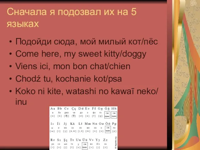 Сначала я подозвал их на 5 языках Подойди сюда, мой милый