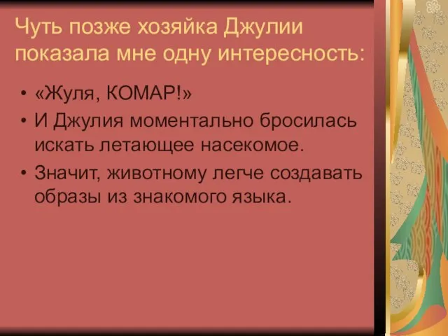 Чуть позже хозяйка Джулии показала мне одну интересность: «Жуля, КОМАР!» И