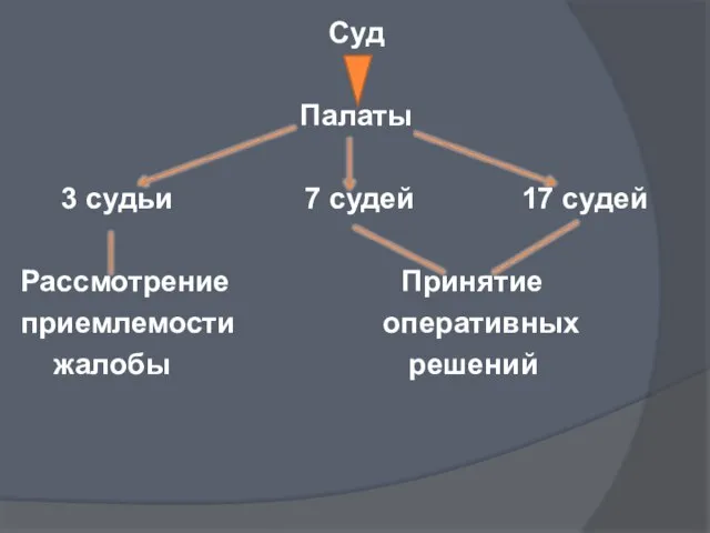 Суд Палаты 3 судьи 7 судей 17 судей Рассмотрение Принятие приемлемости оперативных жалобы решений