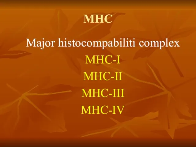 МНС Major histocompabiliti complex МНС-I МНС-II МНС-III МНС-IV