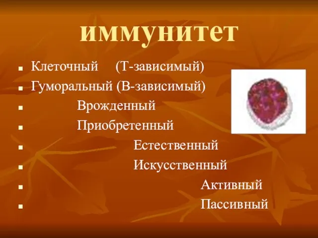 иммунитет Клеточный (Т-зависимый) Гуморальный (В-зависимый) Врожденный Приобретенный Естественный Искусственный Активный Пассивный