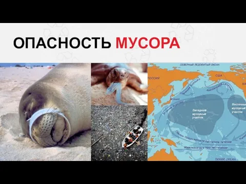 ОПАСНОСТЬ МУСОРА