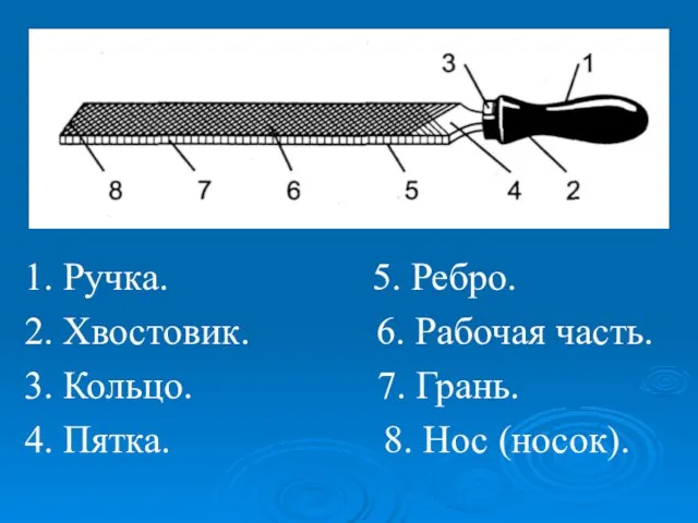 1. Ручка. 5. Ребро. 2. Хвостовик. 6. Рабочая часть. 3. Кольцо.