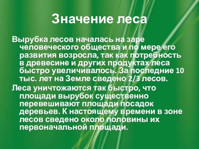 Значение леса Вырубка лесов началась на заре человеческого общества и по