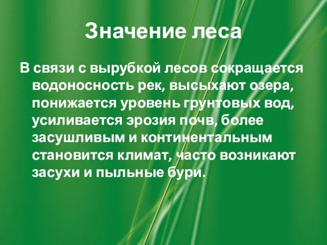 Значение леса В связи с вырубкой лесов сокращается водоносность рек, высыхают