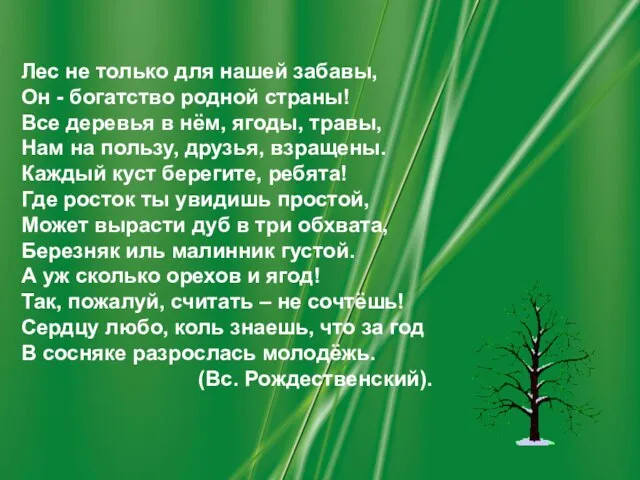 Лес не только для нашей забавы, Он - богатство родной страны!