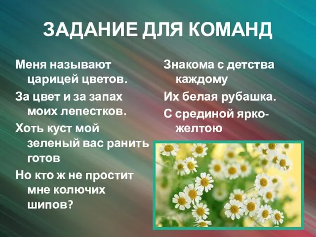 ЗАДАНИЕ ДЛЯ КОМАНД Меня называют царицей цветов. За цвет и за