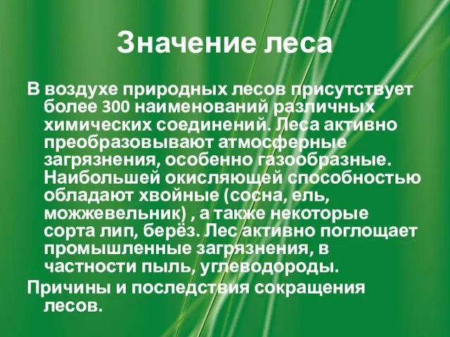 Значение леса В воздухе природных лесов присутствует более 300 наименований различных