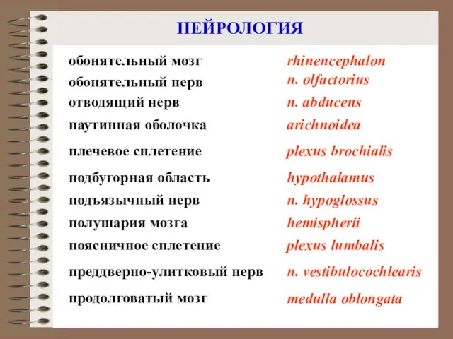 НЕЙРОЛОГИЯ плечевое сплетение поясничное сплетение обонятельный нерв отводящий нерв преддверно-улитковый нерв