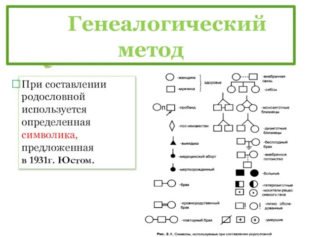 Генеалогический метод При составлении родословной используется определенная символика, предложенная в 1931г. Юстом.