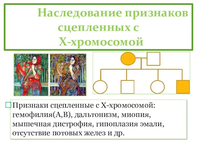 Наследование признаков сцепленных с Х-хромосомой Признаки сцепленные с Х-хромосомой: гемофилия(А,В), дальтонизм,