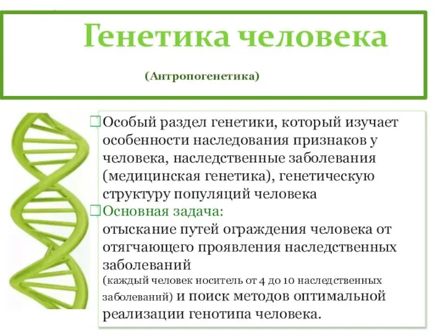 Генетика человека Особый раздел генетики, который изучает особенности наследования признаков у