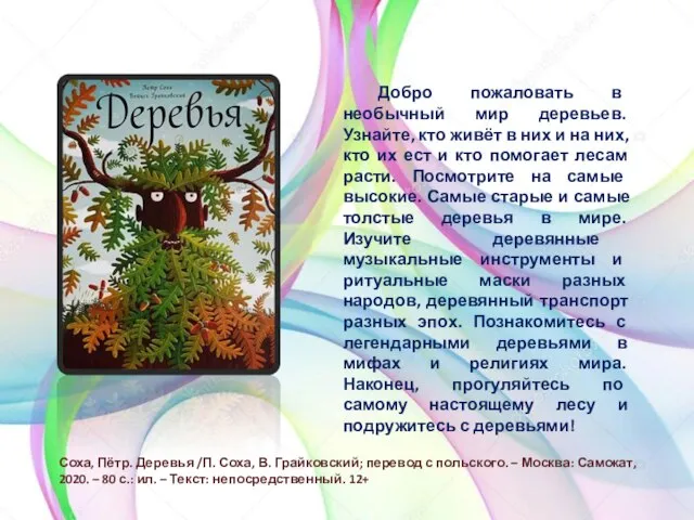 Добро пожаловать в необычный мир деревьев. Узнайте, кто живёт в них