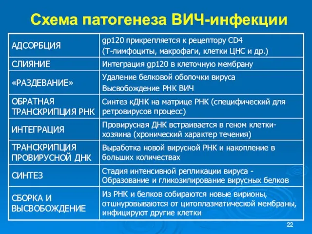 Схема патогенеза ВИЧ-инфекции