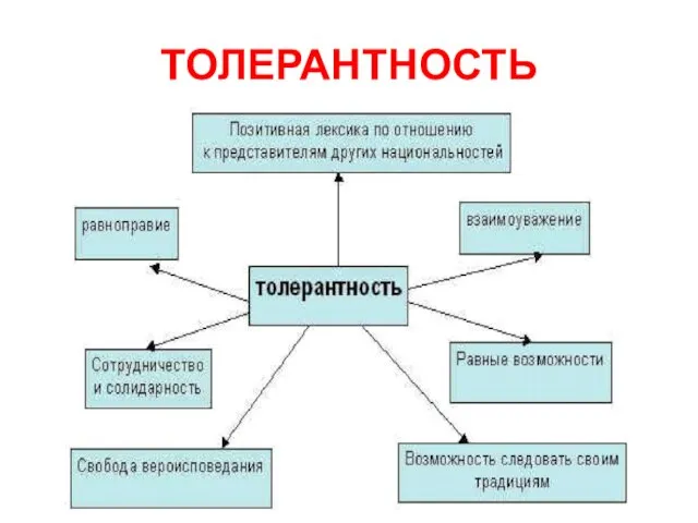 ТОЛЕРАНТНОСТЬ