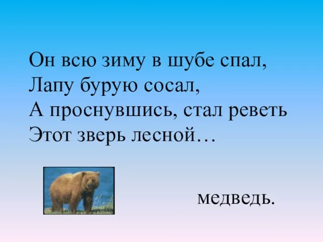 Он всю зиму в шубе спал, Лапу бурую сосал, А проснувшись,