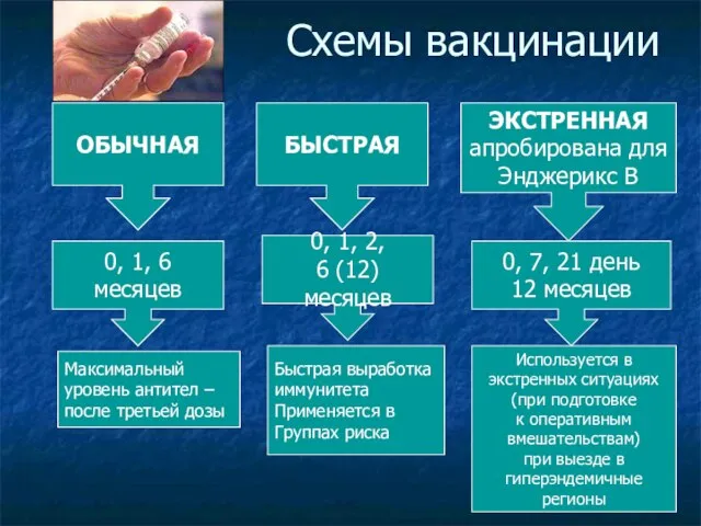 Схемы вакцинации ОБЫЧНАЯ 0, 1, 6 месяцев Максимальный уровень антител –