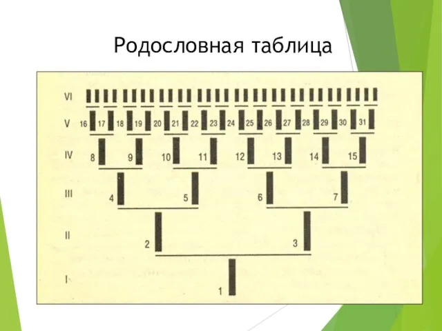 Родословная таблица