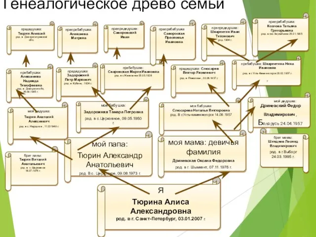 Я Тюрина Алиса Александровна род. в г. Санкт-Петербург, 03.01.2007 г. мой