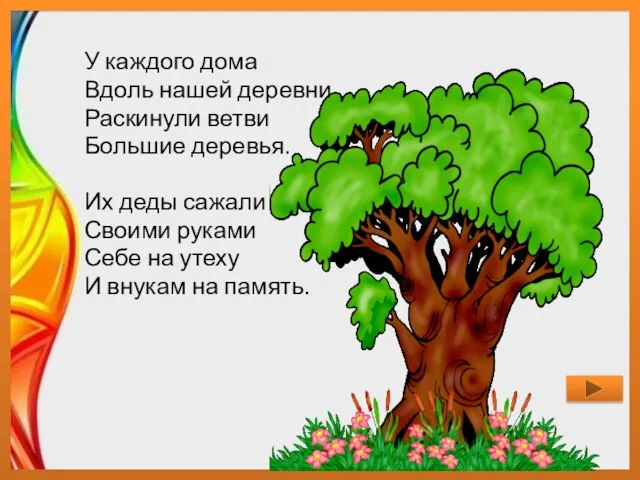 У каждого дома Вдоль нашей деревни Раскинули ветви Большие деревья. Их