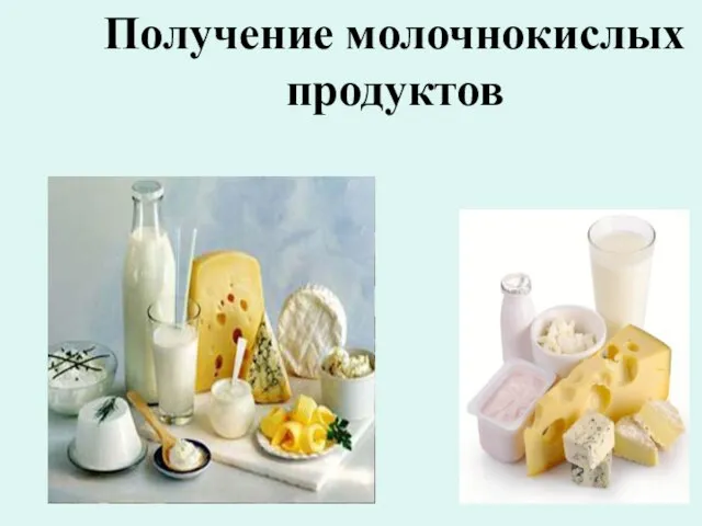 Получение молочнокислых продуктов