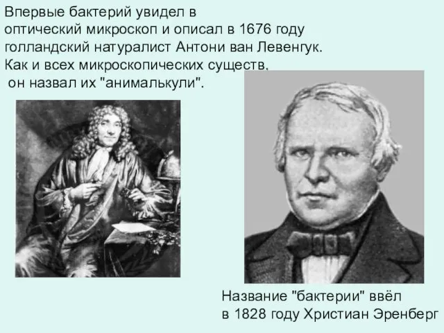 Впервые бактерий увидел в оптический микроскоп и описал в 1676 году