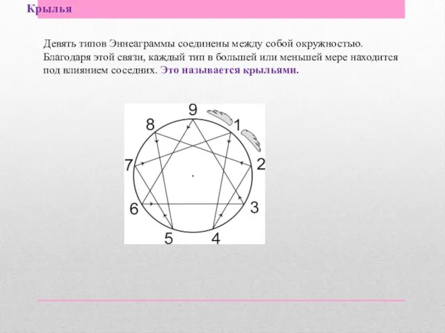 Крылья Девять типов Эннеаграммы соединены между собой окружностью. Благодаря этой связи,